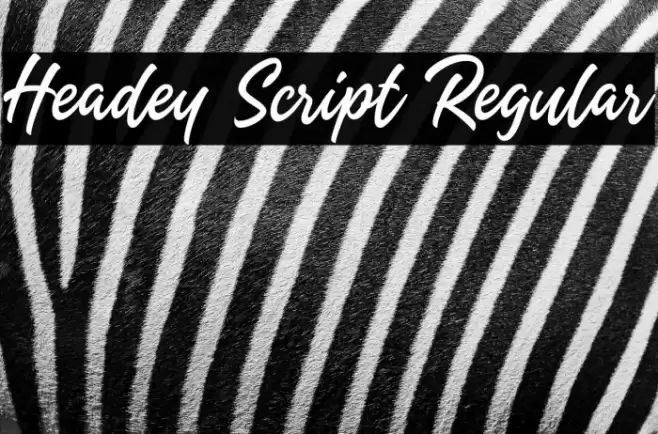 Headey Script Regular Font examples