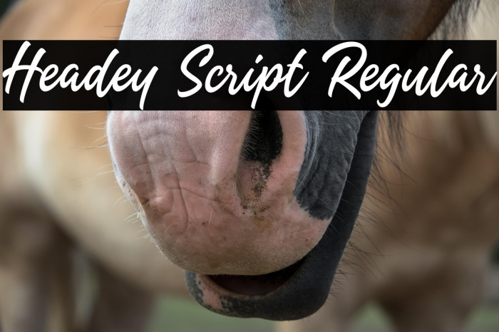 Headey Script Regular Example 3