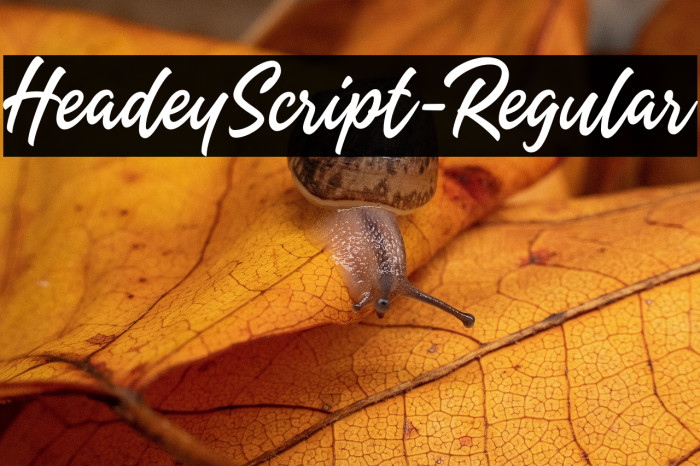 HeadeyScript-Regular Example 2