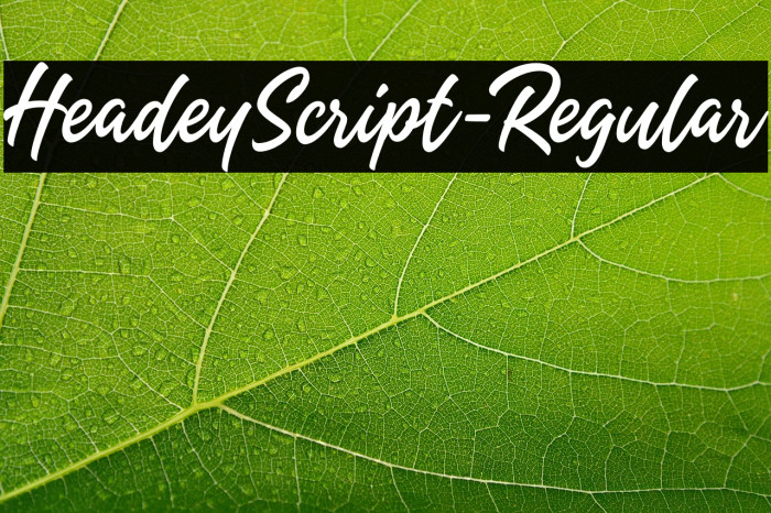 HeadeyScript-Regular Example 3