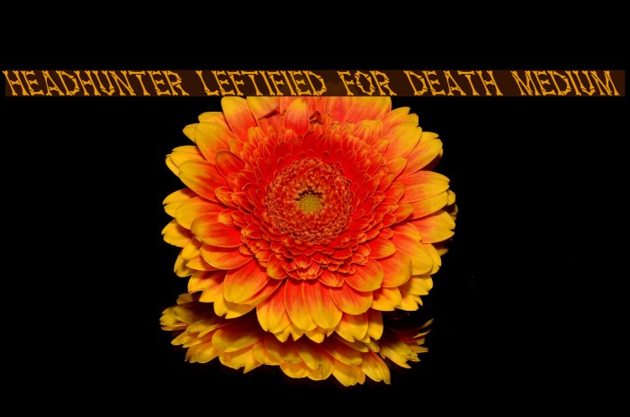 Headhunter Leftified For Death Medium Font examples