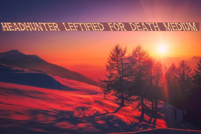 Headhunter Leftified For Death Medium Font examples