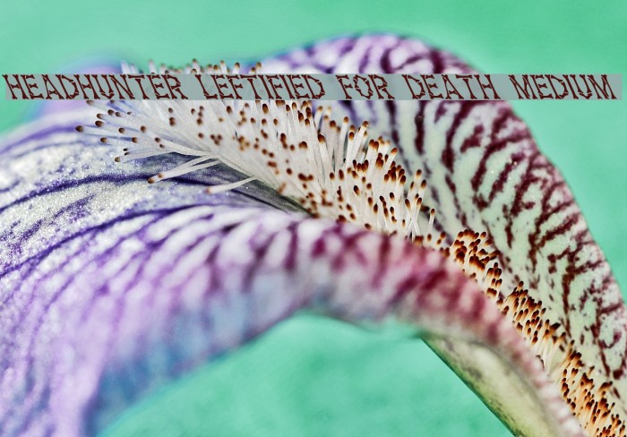 Headhunter Leftified For Death Medium Font examples