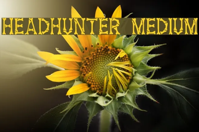 Headhunter Medium Example 3