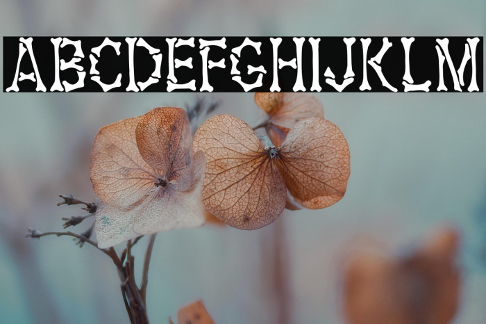 Headhunter(RUS BY LYAJKA) Medium Example 1