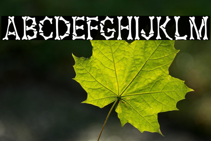 Headhunter(RUS BY LYAJKA) Medium Example 3