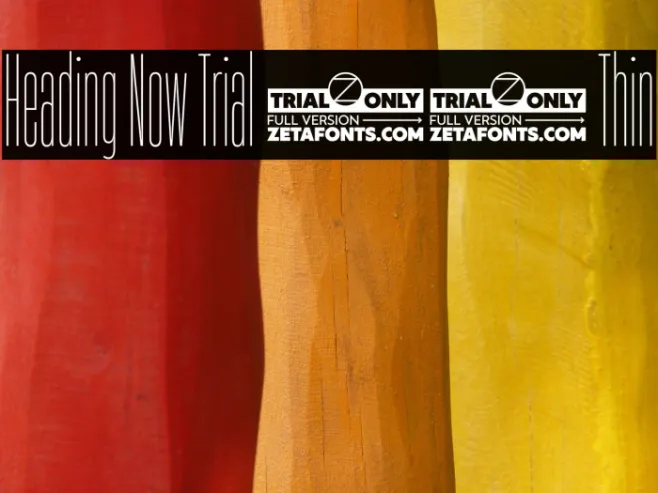Heading Now Trial 01 Thin Example 1