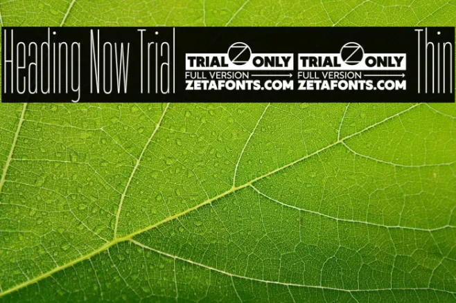 Heading Now Trial 01 Thin Example 2