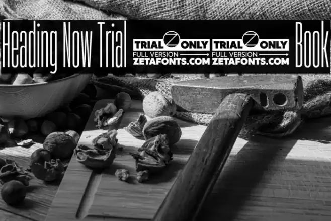 Heading Now Trial 03 Book Font examples