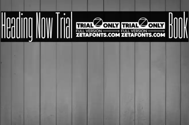 Heading Now Trial 03 Book Font examples