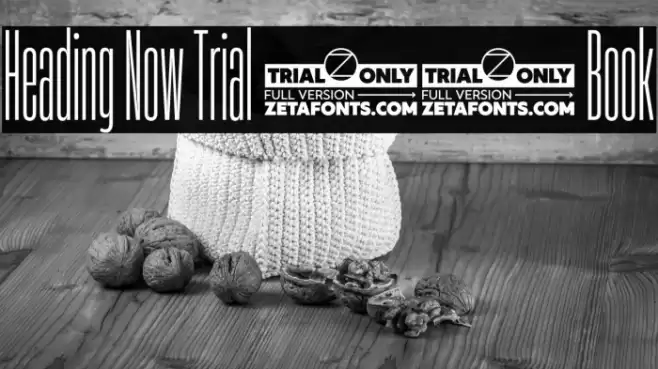 Heading Now Trial 03 Book Font examples