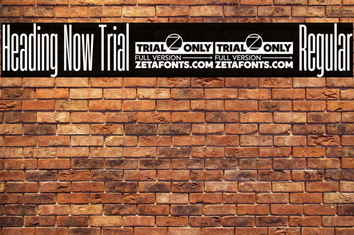 Heading Now Trial 04 Regular Example 2