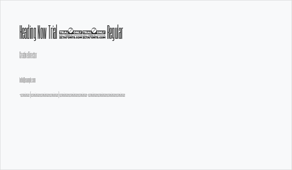 Heading Now Trial 04 Regular Business Card