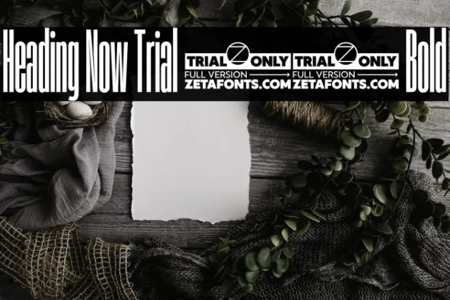 Heading Now Trial 06 Bold Example 1