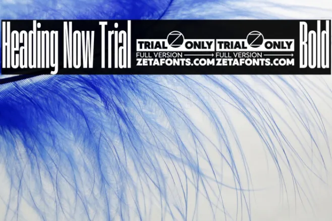 Heading Now Trial 06 Bold Example 2