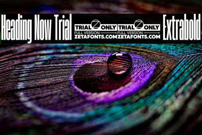 Heading Now Trial 07 Extrabold Example 1