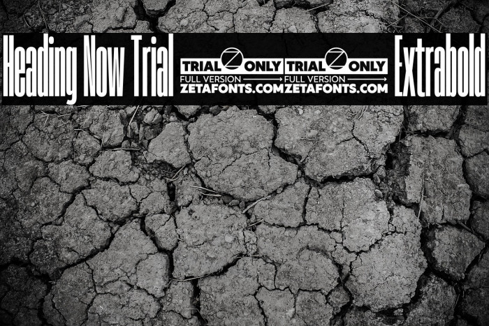 Heading Now Trial 07 Extrabold Example 2