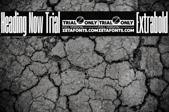 Heading Now Trial 07 Extrabold Example 2