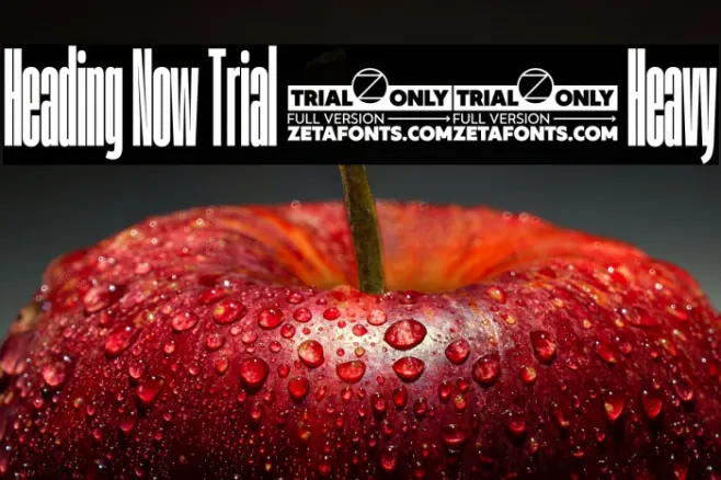 Heading Now Trial 08 Heavy Example 3