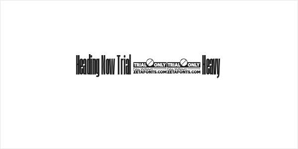 Heading Now Trial 08 Heavy Logo