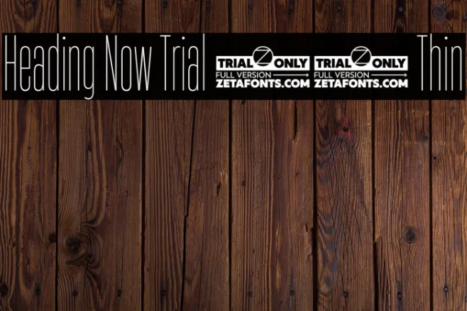 Heading Now Trial 11 Thin Example 2