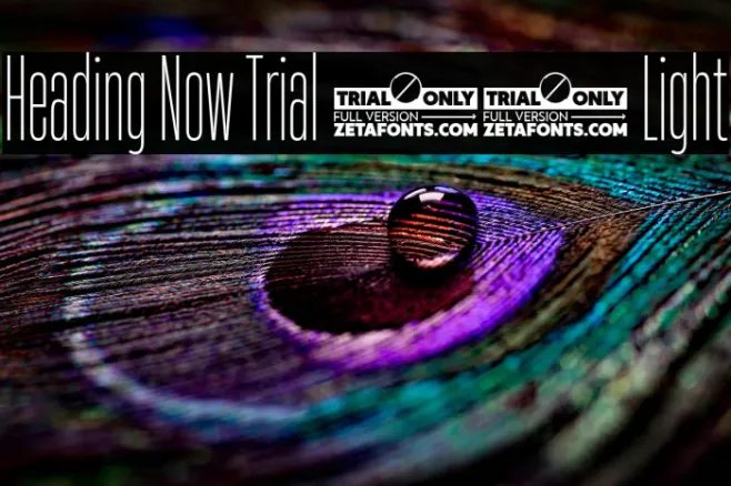 Heading Now Trial 12 Light Example 3