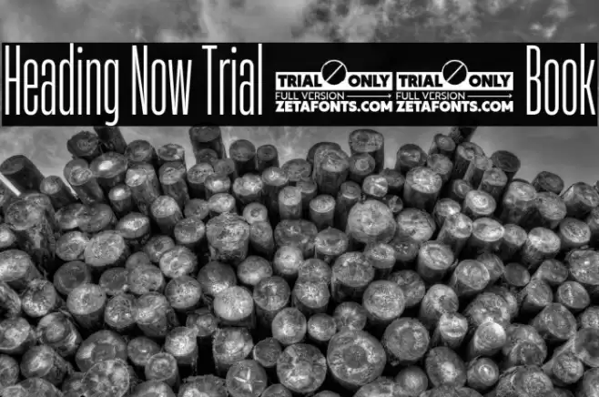 Heading Now Trial 13 Book Font examples