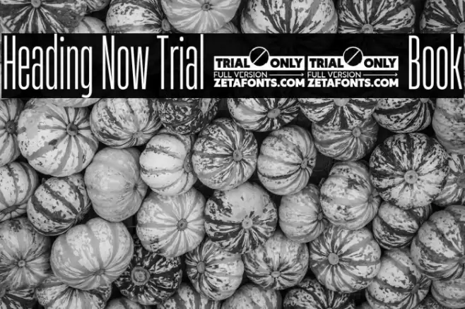 Heading Now Trial 13 Book Font examples