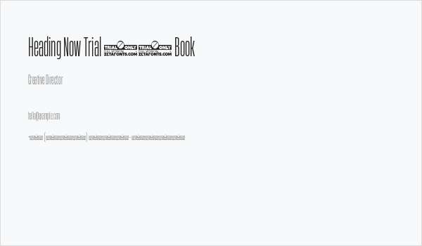 Heading Now Trial 13 Book Business Card
