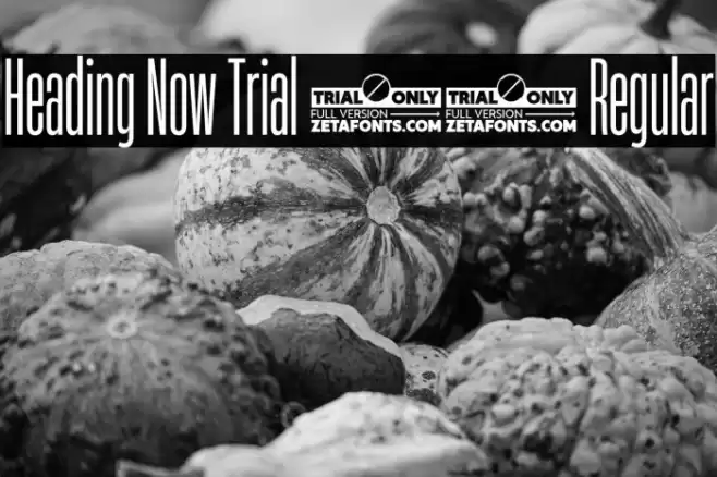 Heading Now Trial 14 Regular Font examples