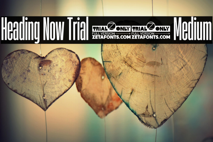 Heading Now Trial 15 Medium Example 1