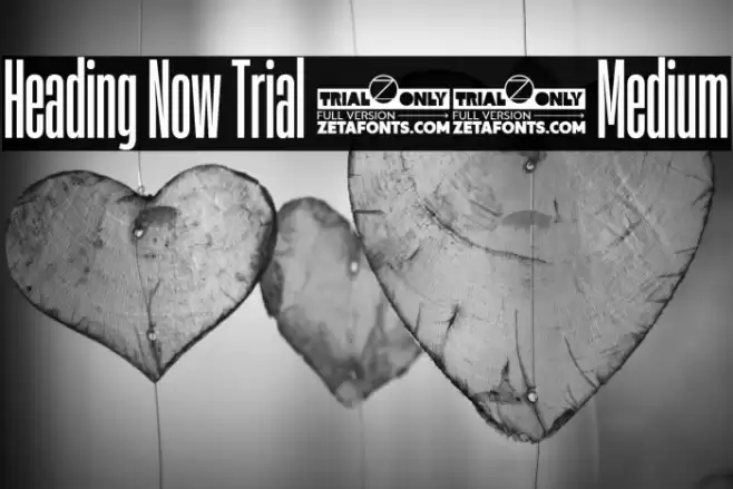 Heading Now Trial 15 Medium Font examples