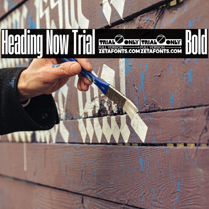 Heading Now Trial 16 Bold Example 1