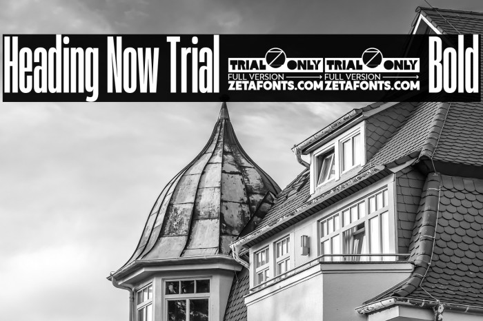 Heading Now Trial 16 Bold Example 2