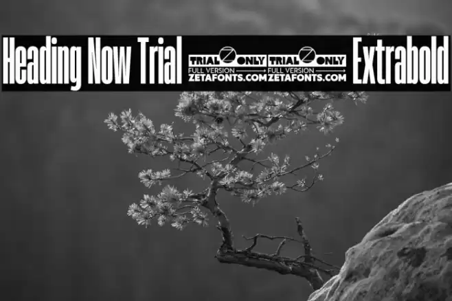 Heading Now Trial 17 Extrabold Font examples
