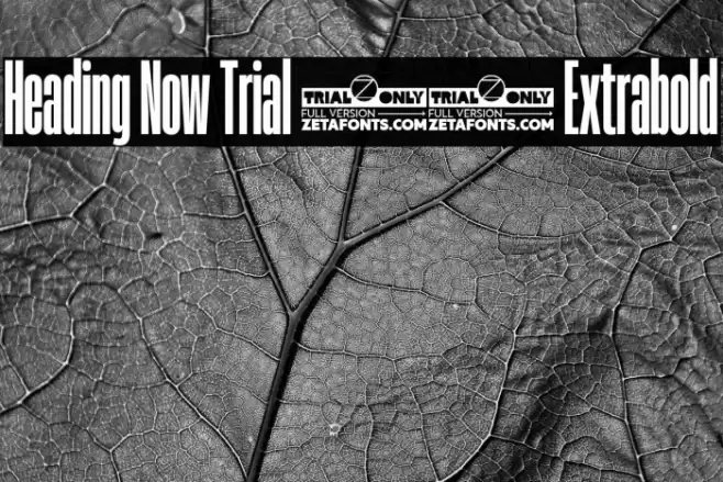 Heading Now Trial 17 Extrabold Font examples