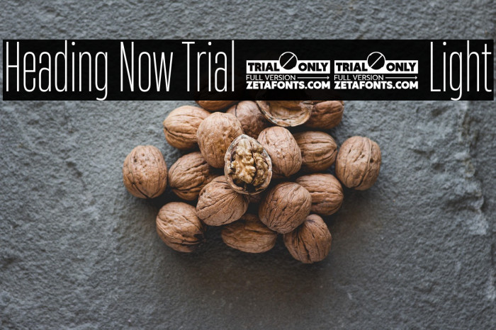 Heading Now Trial 22 Light Example 3