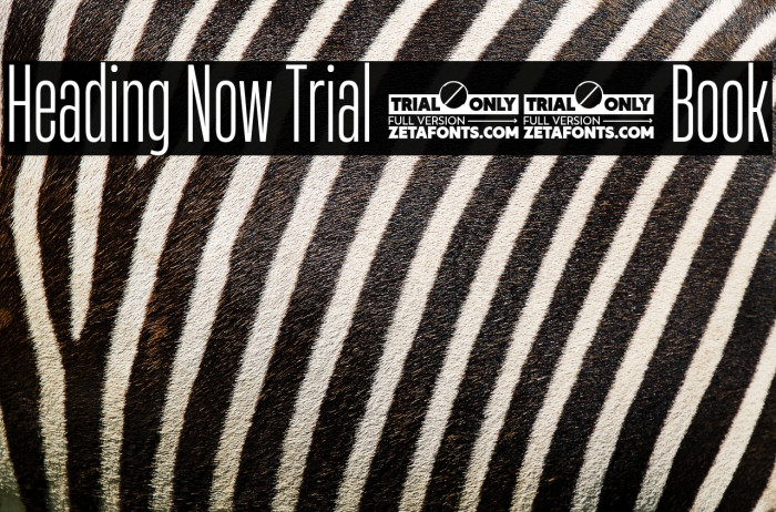 Heading Now Trial 23 Book Example 2