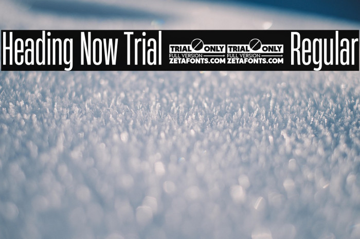 Heading Now Trial 24 Regular Example 1