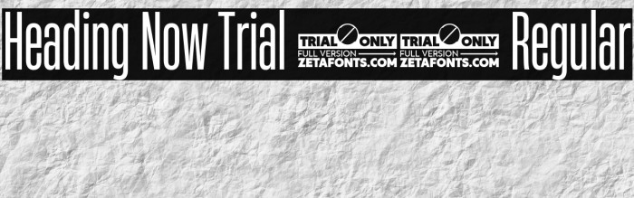 Heading Now Trial 24 Regular Example 2