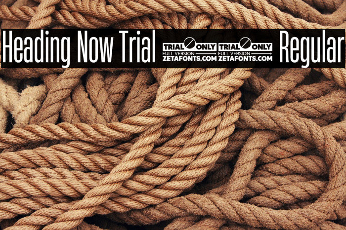 Heading Now Trial 24 Regular Example 3