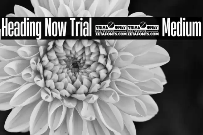 Heading Now Trial 25 Medium Font examples