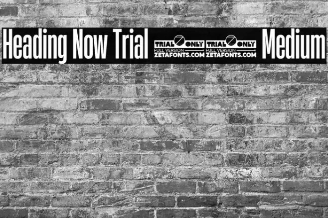 Heading Now Trial 25 Medium Font examples