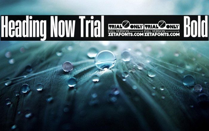 Heading Now Trial 26 Bold Example 3