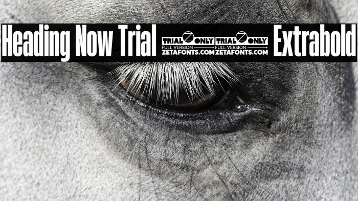 Heading Now Trial 27 Extrabold Example 2