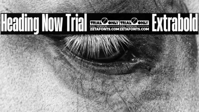 Heading Now Trial 27 Extrabold Font examples