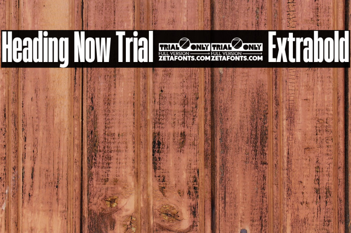 Heading Now Trial 27 Extrabold Example 3