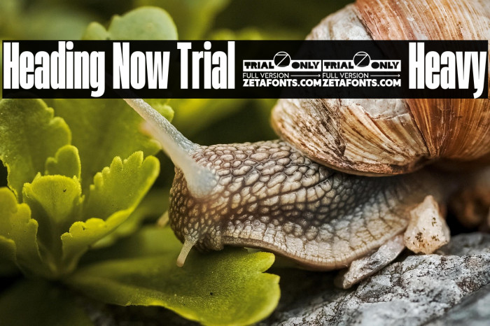 Heading Now Trial 28 Heavy Example 2