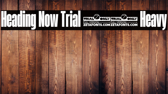 Heading Now Trial 28 Heavy Example 3