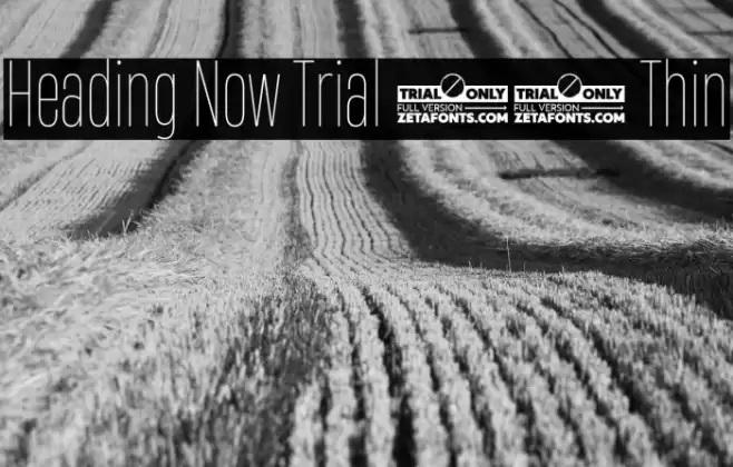 Heading Now Trial 31 Thin Font examples